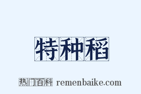 特种稻是什么意思的图片